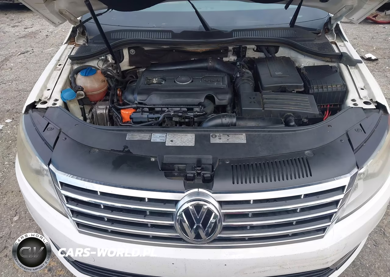 2013 Volkswagen Cc 2.0T Lux VIN:WVWRP7AN8DE511034 - 10