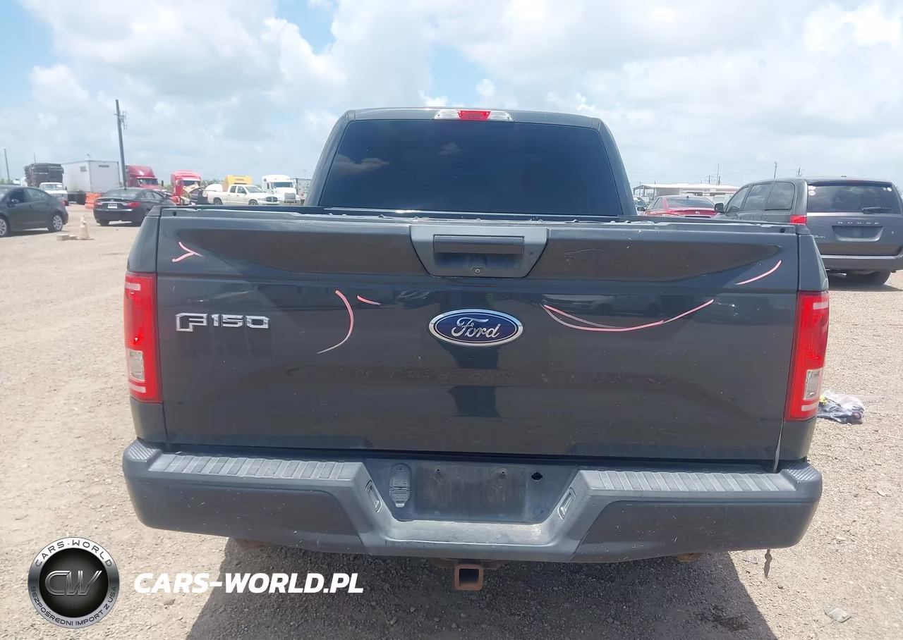 2016 Ford F-150 Xlt VIN:1FTEX1CP8GKF32868 - 16