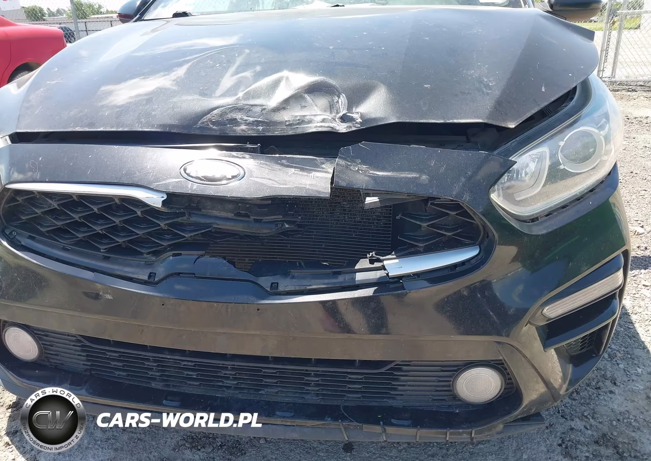 2021 Kia Forte Lxs VIN:3KPF24AD6ME282770 - 17