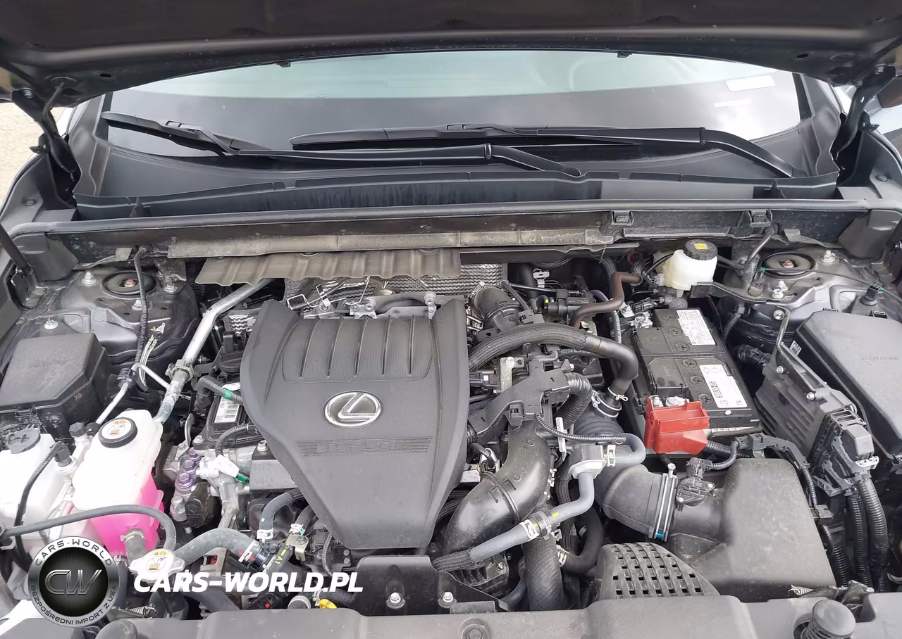 2023 Lexus Nx 350 Premium VIN:2T2GGCEZ7PC016159 - 10