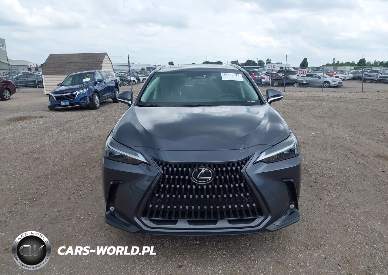 2023 Lexus Nx 350 Premium VIN:2T2GGCEZ7PC016159 - 12