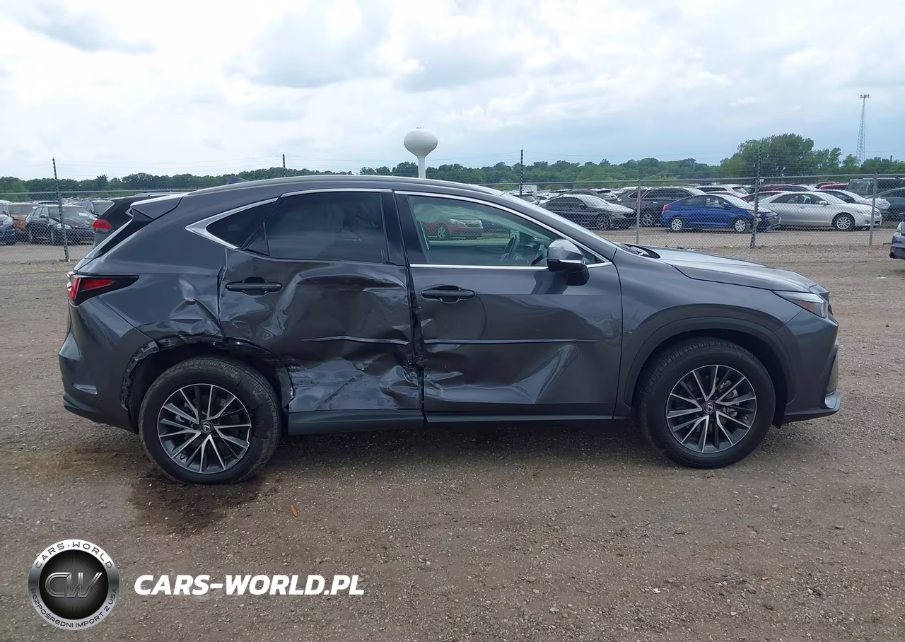 2023 Lexus Nx 350 Premium VIN:2T2GGCEZ7PC016159 - 13