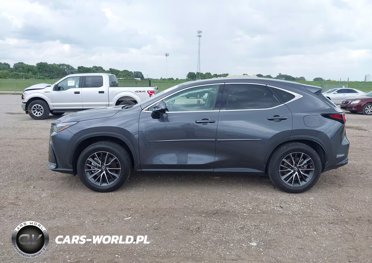 2023 Lexus Nx 350 Premium VIN:2T2GGCEZ7PC016159 - 14