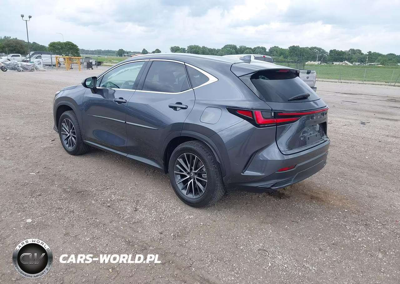 2023 Lexus Nx 350 Premium VIN:2T2GGCEZ7PC016159 - 3