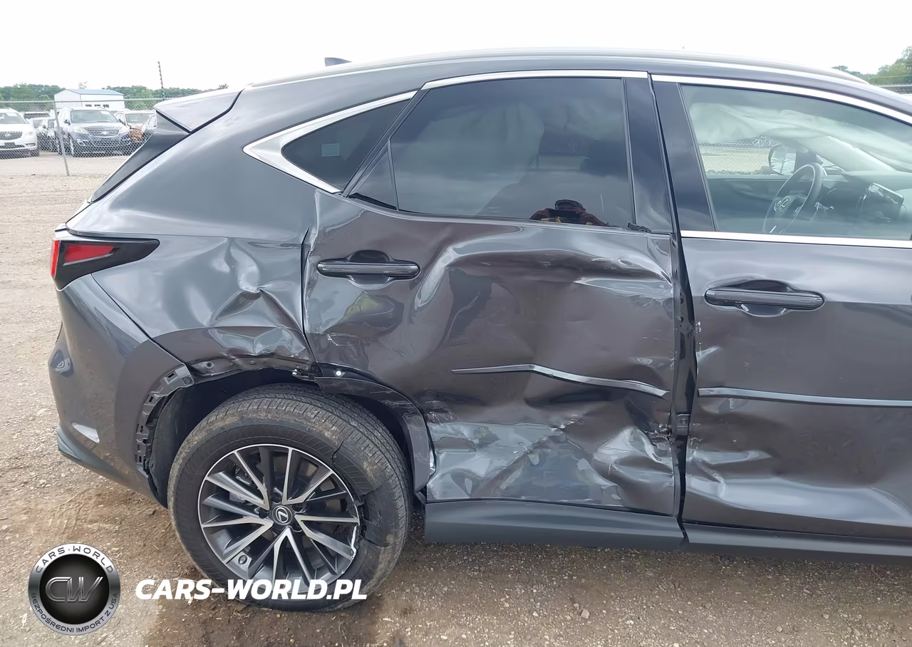 2023 Lexus Nx 350 Premium VIN:2T2GGCEZ7PC016159 - 6