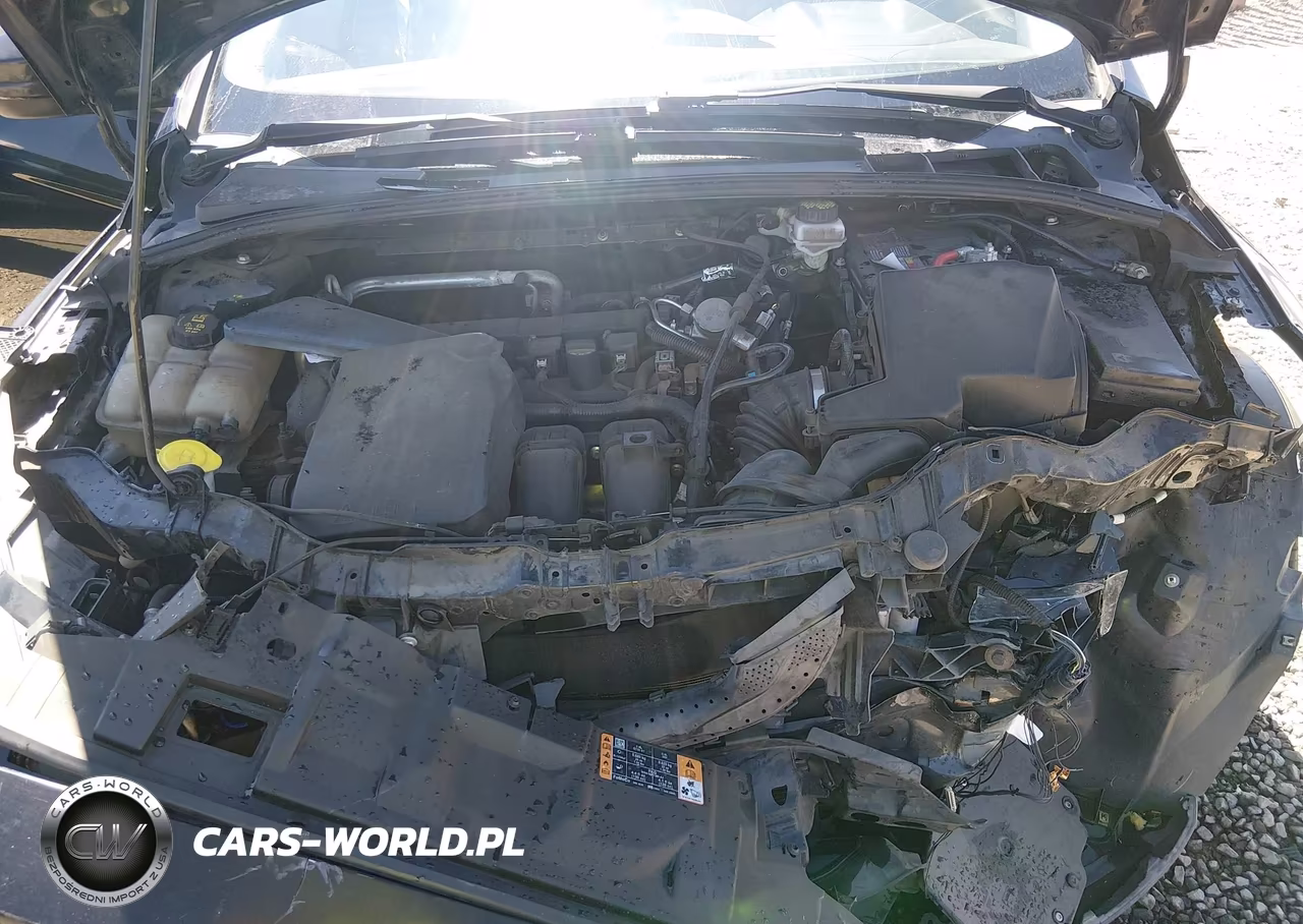 2018 Ford Focus Sel VIN:1FADP3M20JL305109 - 10