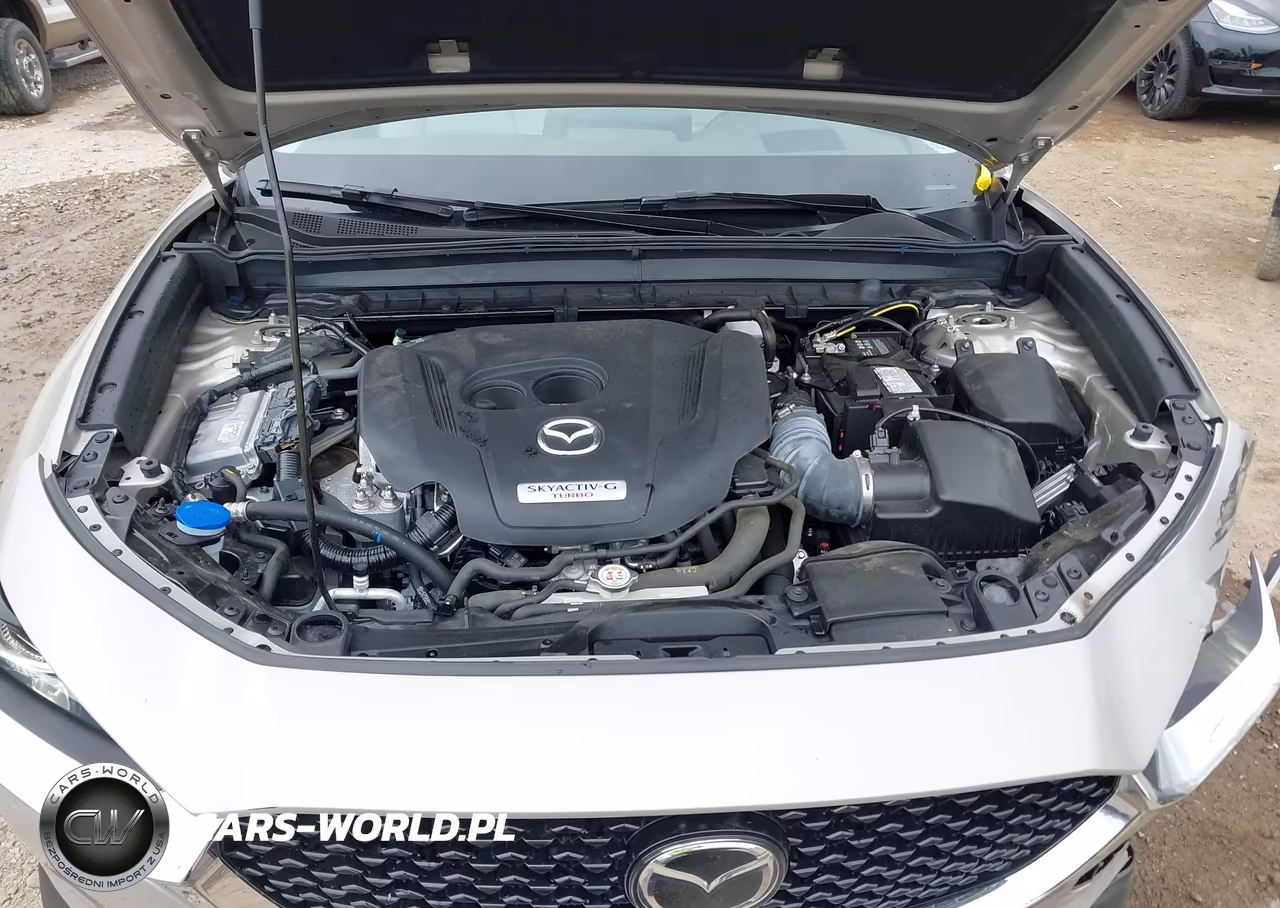 2024 Mazda Cx-30 2.5 Turbo Premium Package VIN:3MVDMBDY5RM617100 - 10