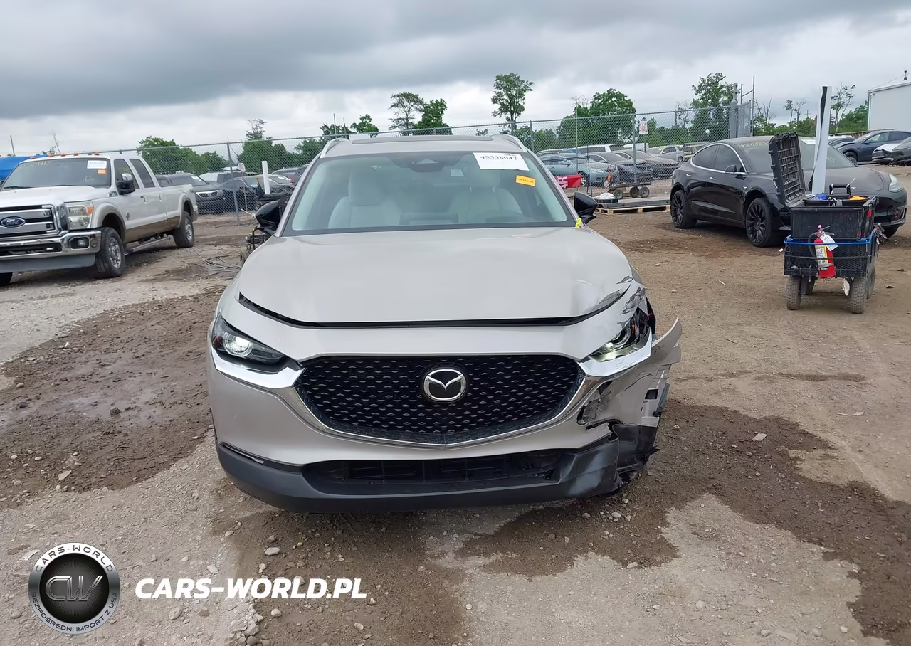 2024 Mazda Cx-30 2.5 Turbo Premium Package VIN:3MVDMBDY5RM617100 - 12
