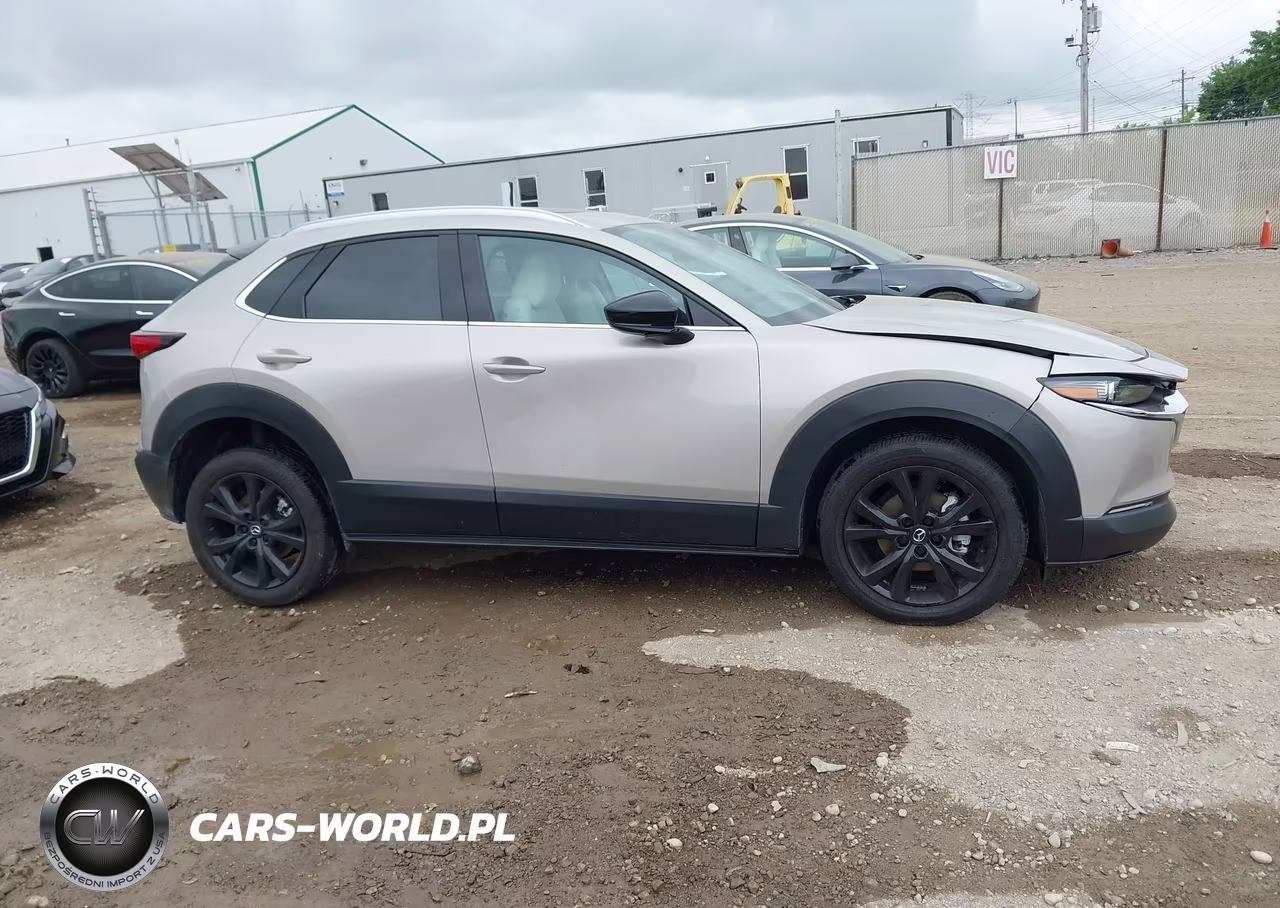 2024 Mazda Cx-30 2.5 Turbo Premium Package VIN:3MVDMBDY5RM617100 - 13
