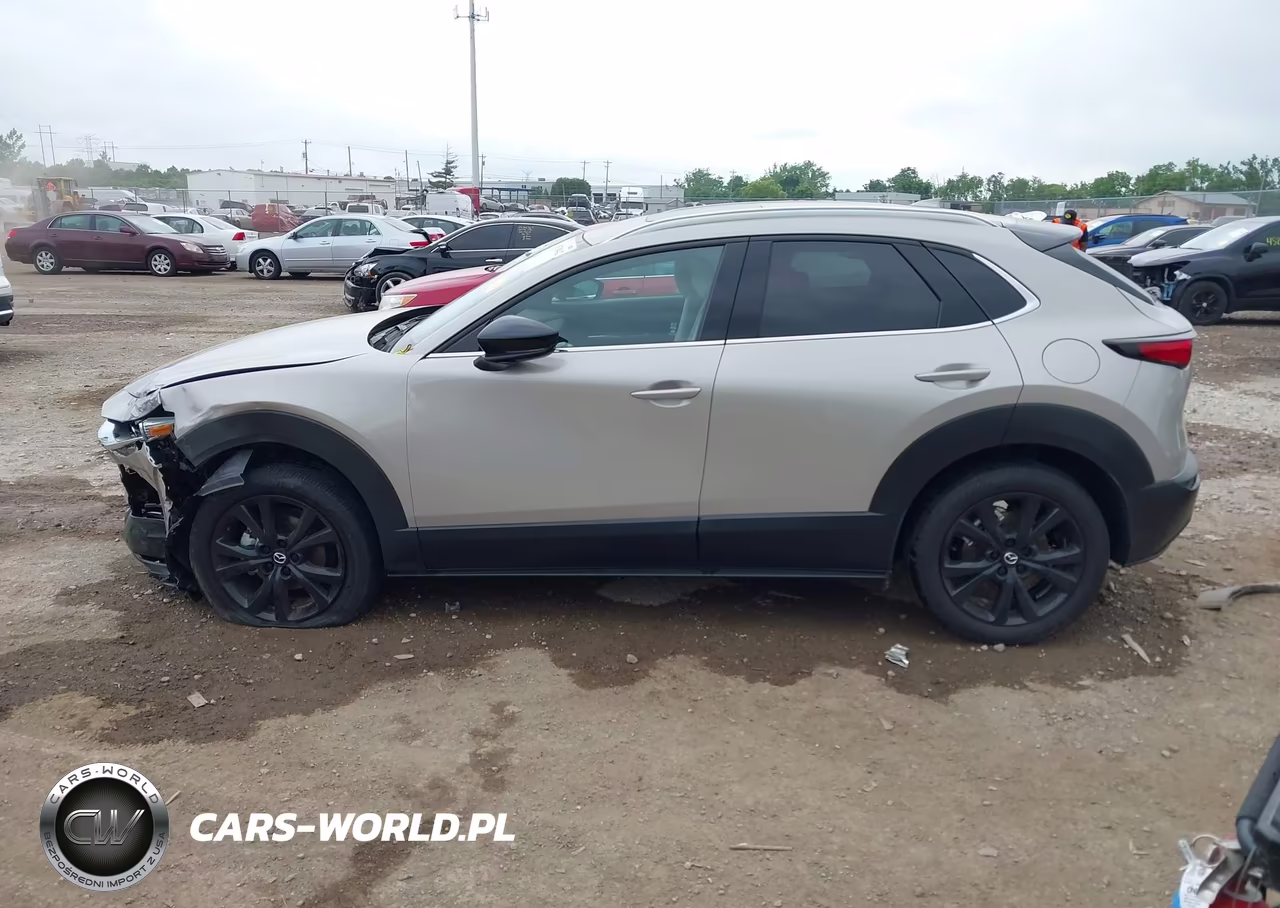 2024 Mazda Cx-30 2.5 Turbo Premium Package VIN:3MVDMBDY5RM617100 - 14
