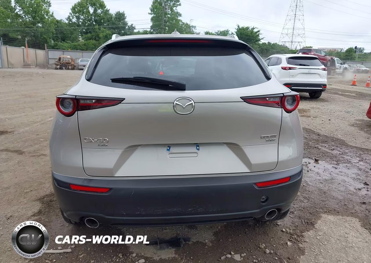 2024 Mazda Cx-30 2.5 Turbo Premium Package VIN:3MVDMBDY5RM617100 - 16
