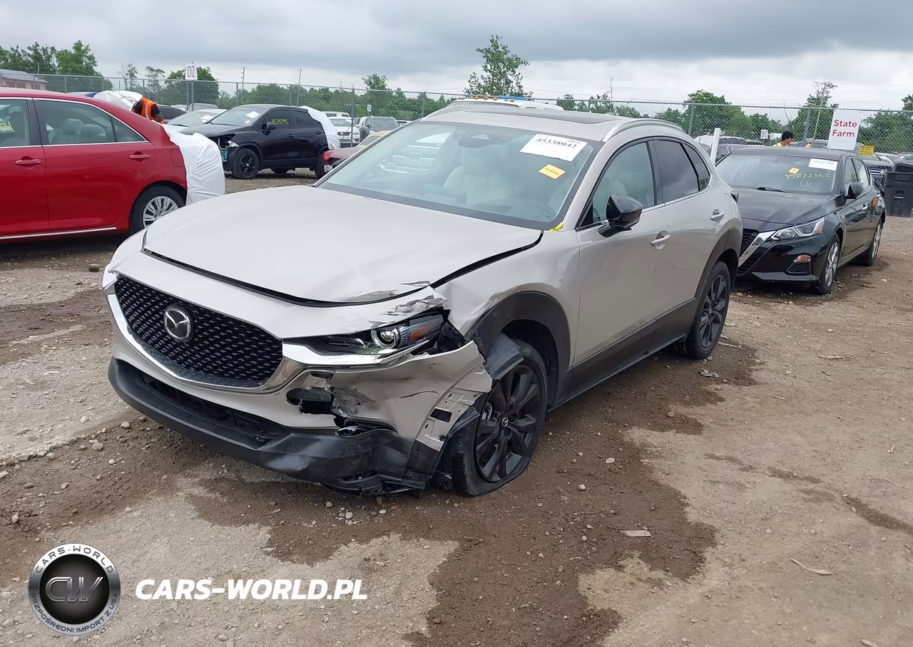 2024 Mazda Cx-30 2.5 Turbo Premium Package VIN:3MVDMBDY5RM617100 - 2
