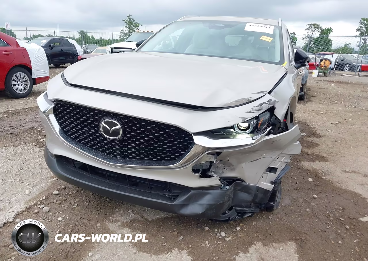 2024 Mazda Cx-30 2.5 Turbo Premium Package VIN:3MVDMBDY5RM617100 - 6