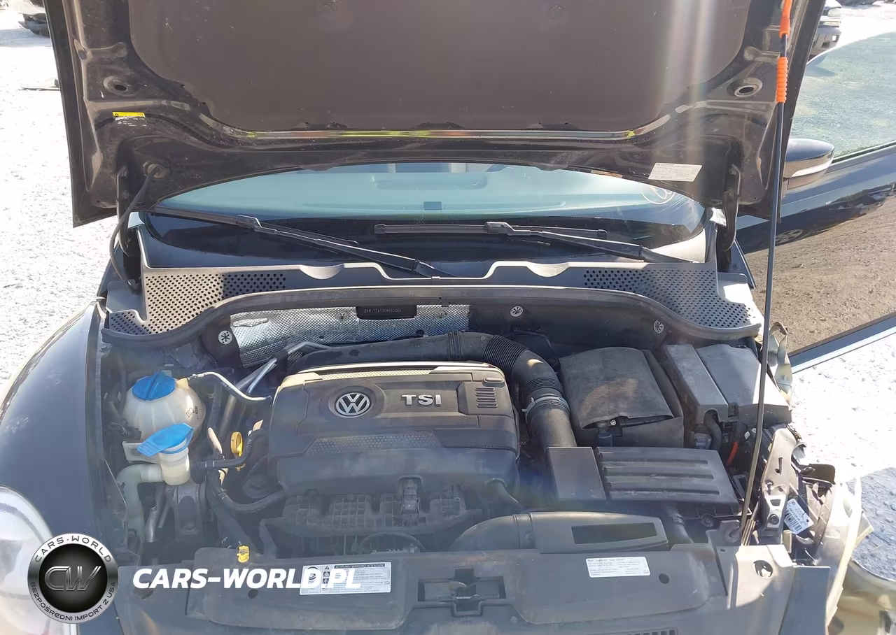 2014 Volkswagen Beetle 1.8T VIN:3VWJ17AT0EM665064 - 10