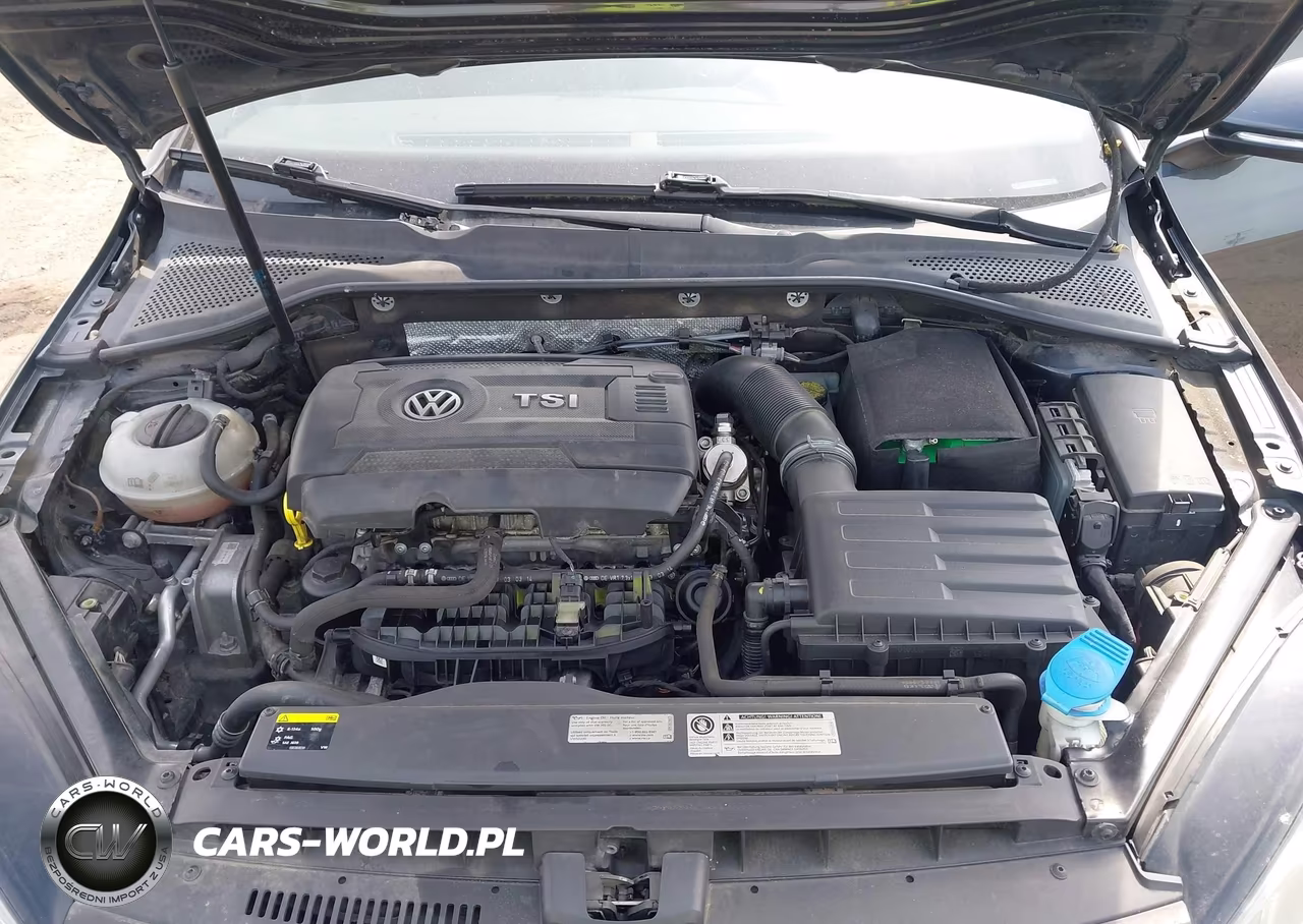 2015 Volkswagen Golf Gti 2.0T Se 4-Door VIN:3VW5T7AU8FM001066 - 10