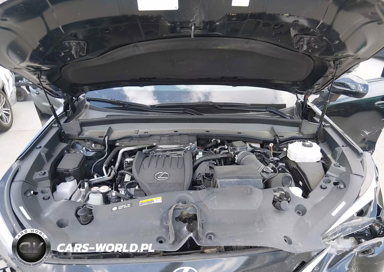 2024 Lexus Tx 500H F Sport Premium VIN:5TDABAB67RS005180 - 10