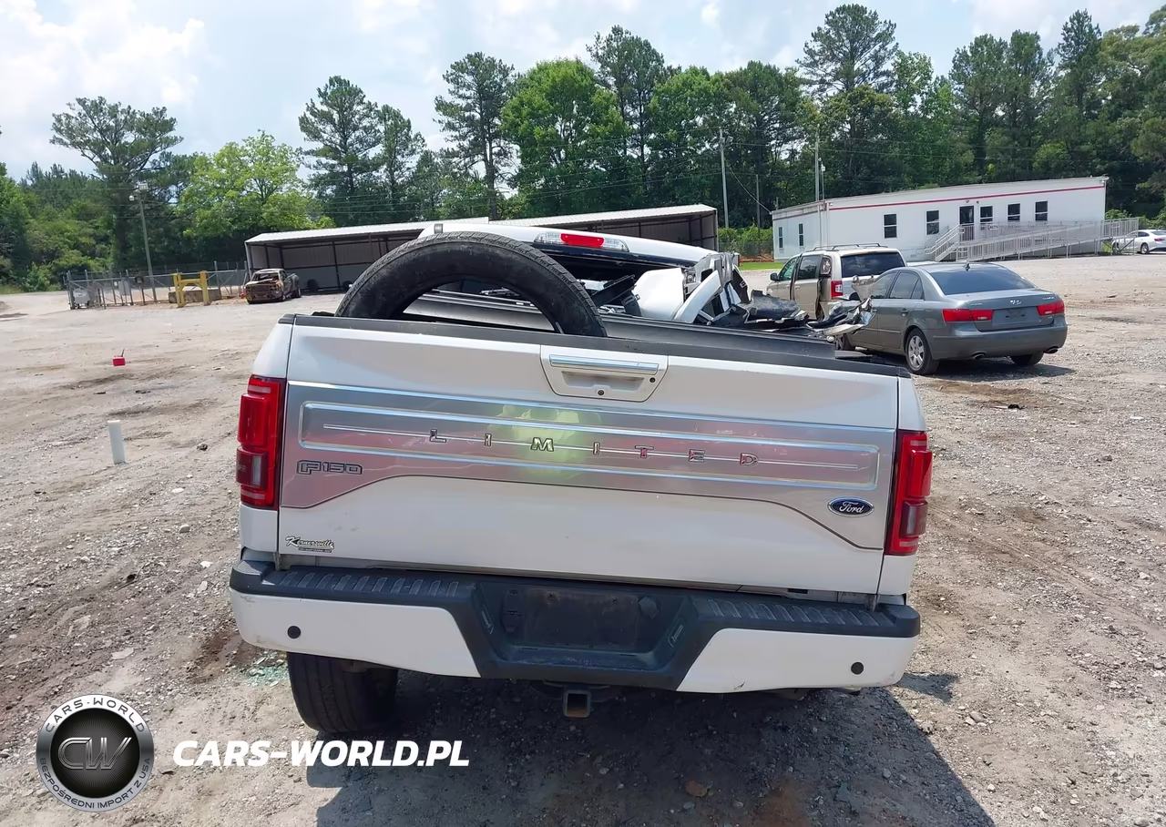 2017 Ford F-150 Limited VIN:1FTEW1EG6HFA70594 - 16