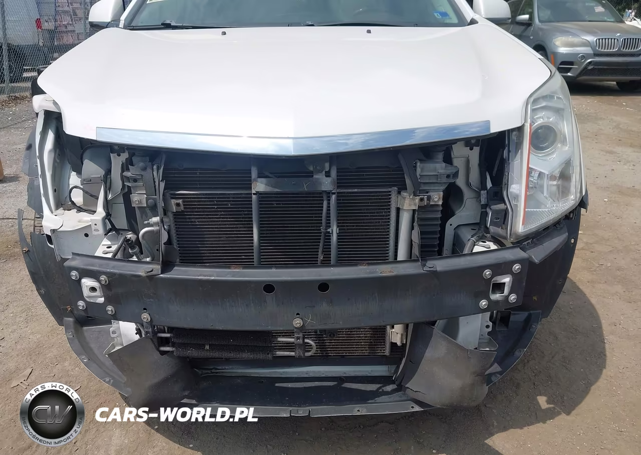 2010 Cadillac Srx Luxury Collection VIN:3GYFNAEY1AS657149 - 12