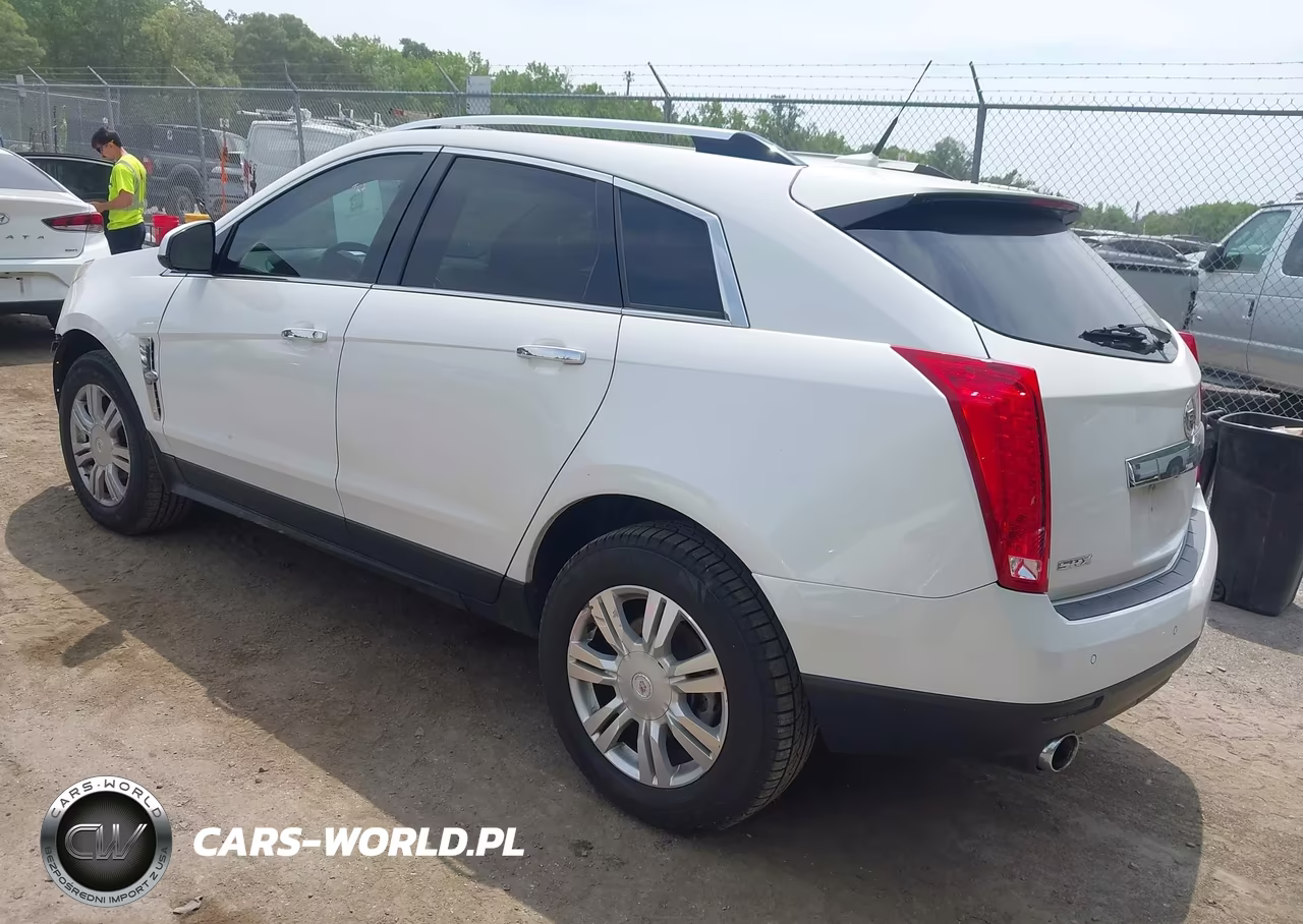 2010 Cadillac Srx Luxury Collection VIN:3GYFNAEY1AS657149 - 3