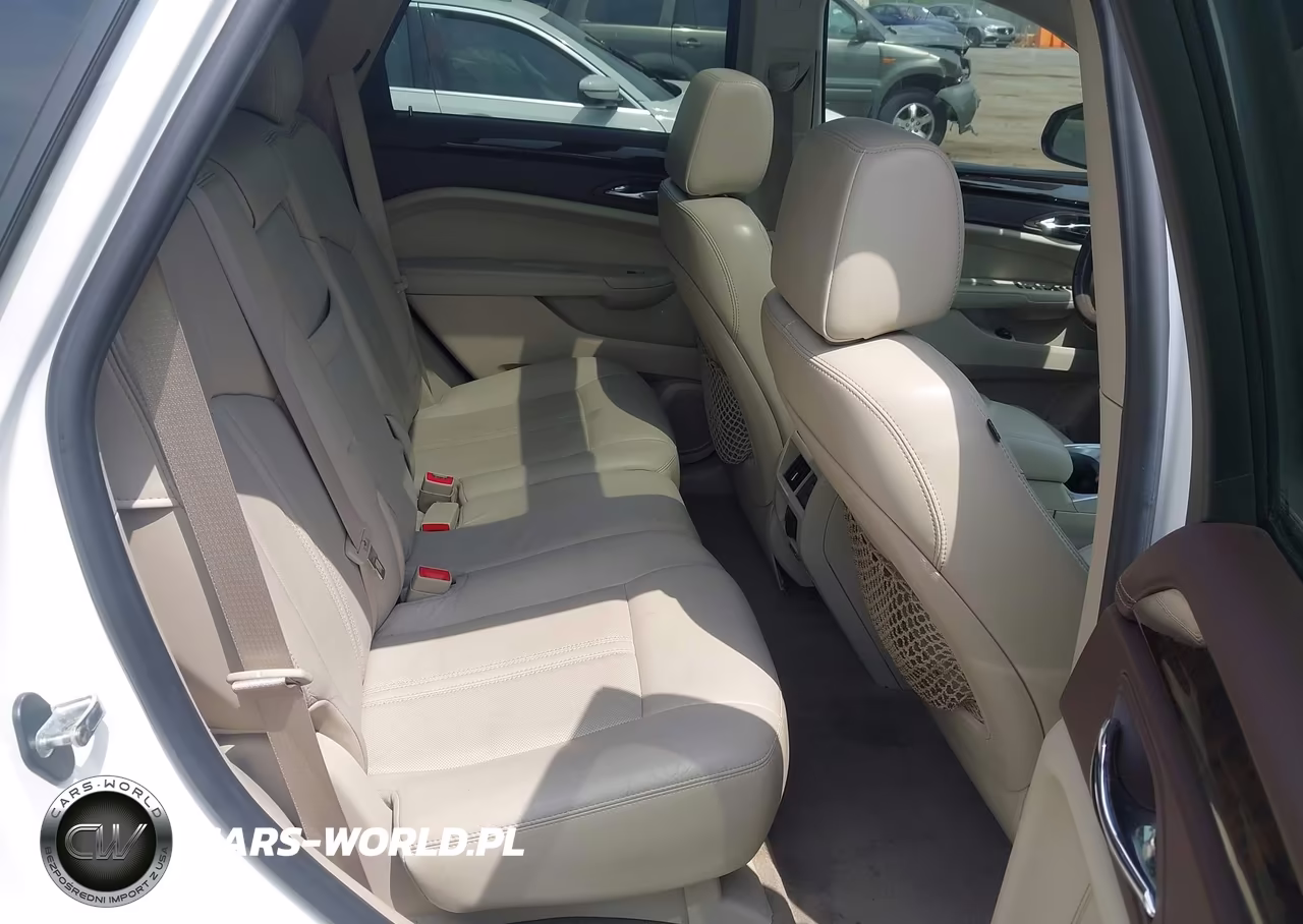 2010 Cadillac Srx Luxury Collection VIN:3GYFNAEY1AS657149 - 8