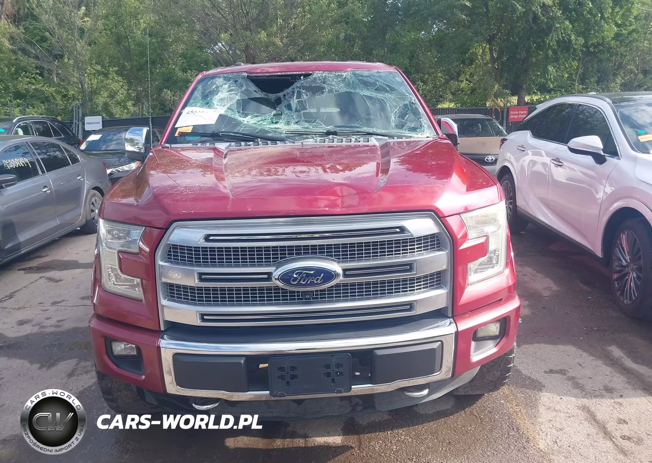 2015 Ford F-150 Platinum VIN:1FTEW1EF4FFA57413 - 12