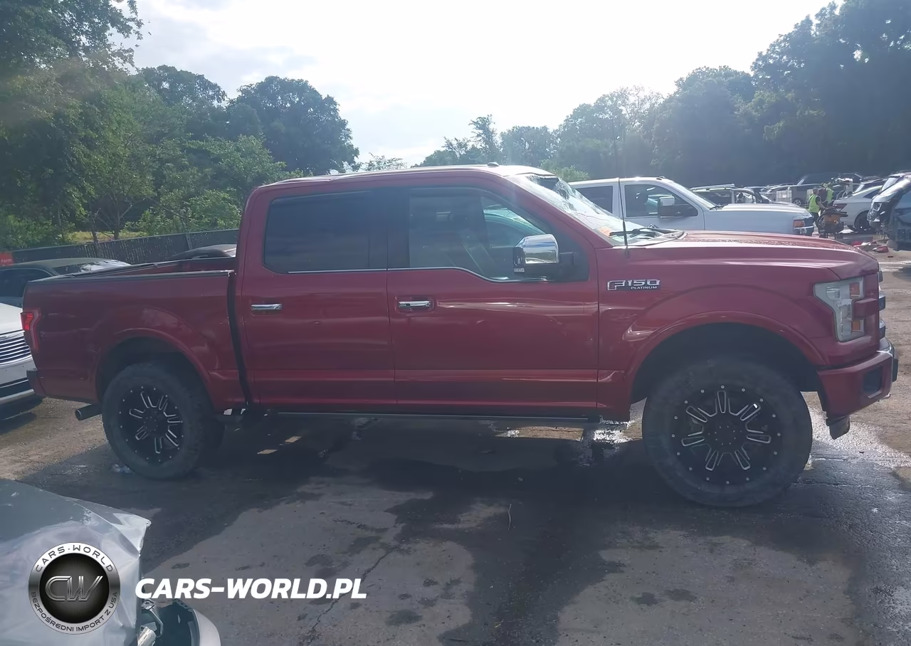 2015 Ford F-150 Platinum VIN:1FTEW1EF4FFA57413 - 13