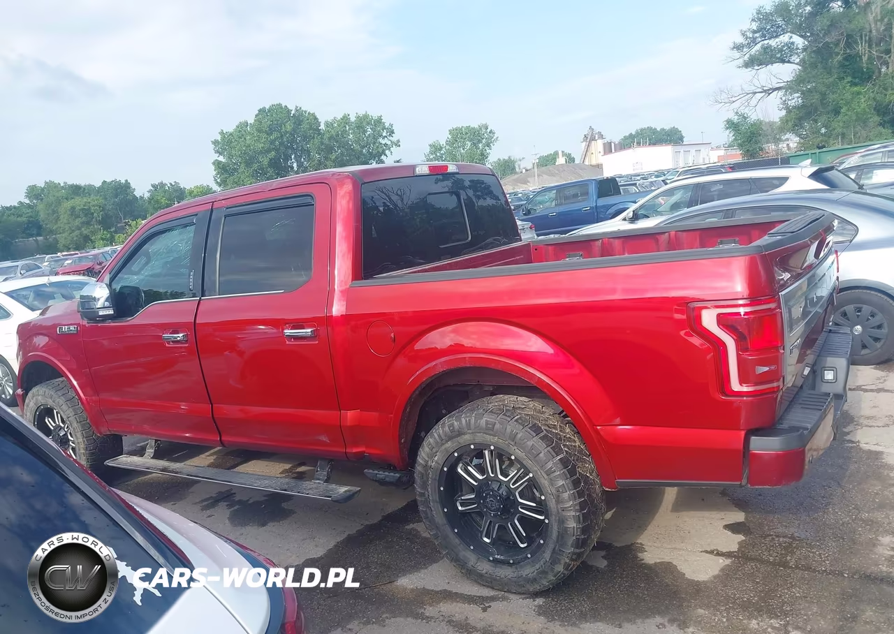 2015 Ford F-150 Platinum VIN:1FTEW1EF4FFA57413 - 14