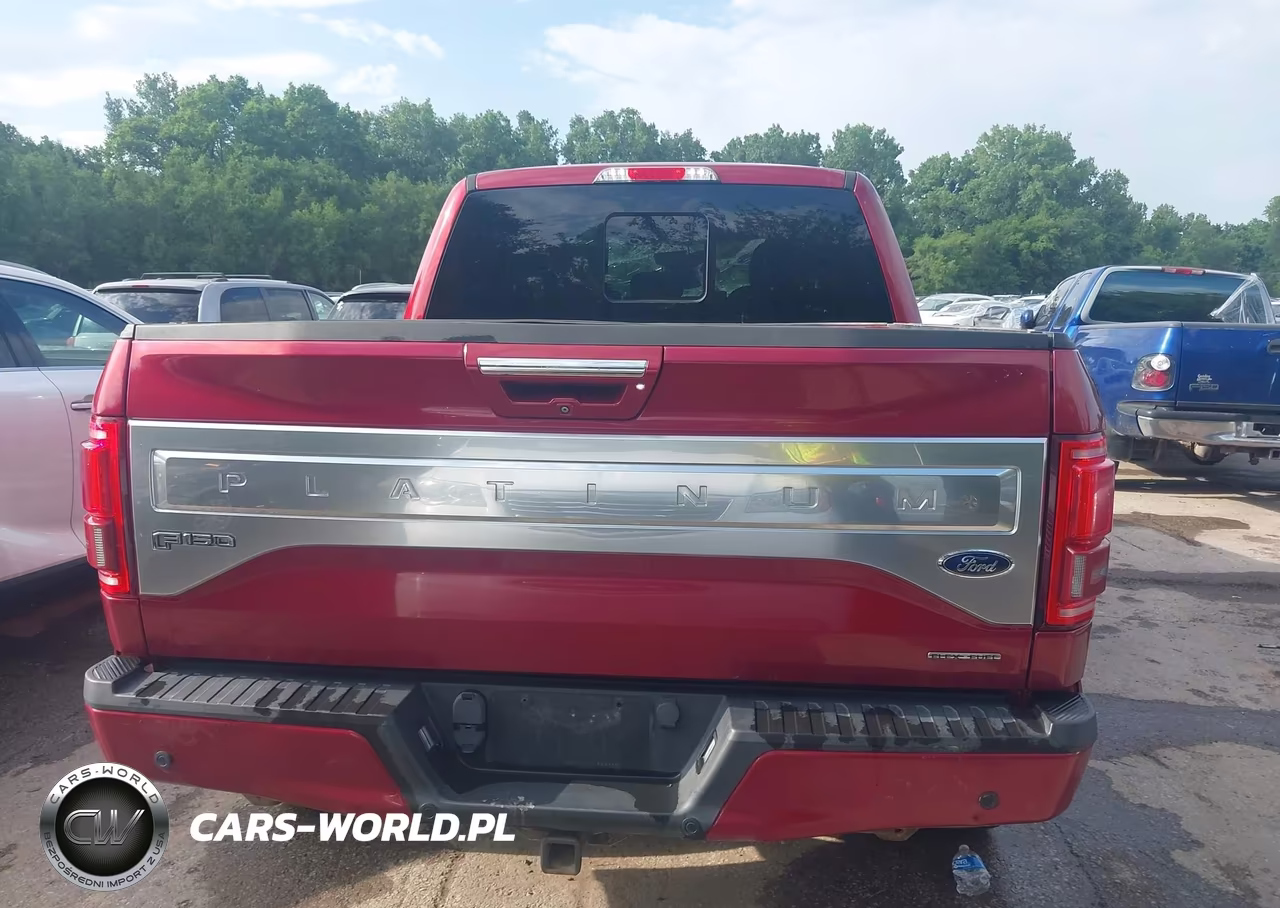 2015 Ford F-150 Platinum VIN:1FTEW1EF4FFA57413 - 16