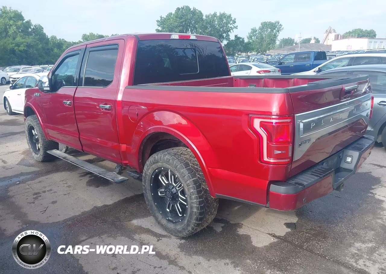 2015 Ford F-150 Platinum VIN:1FTEW1EF4FFA57413 - 3