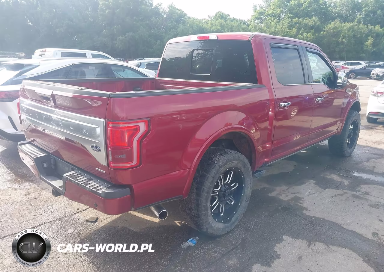 2015 Ford F-150 Platinum VIN:1FTEW1EF4FFA57413 - 4