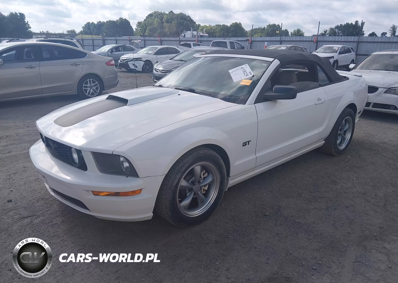 2005 Ford Mustang Gt VIN:1ZVHT85H055105426 - 2