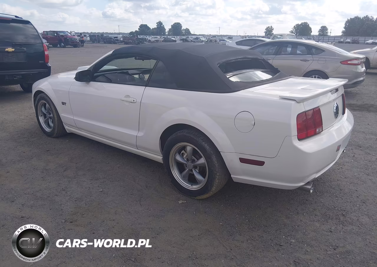 2005 Ford Mustang Gt VIN:1ZVHT85H055105426 - 3