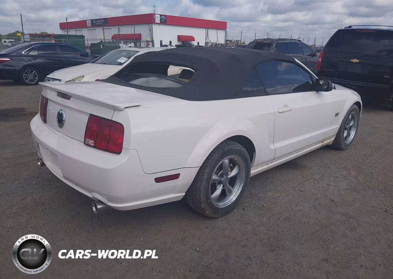 2005 Ford Mustang Gt VIN:1ZVHT85H055105426 - 4