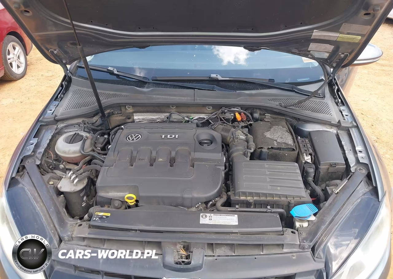 2015 Volkswagen Golf Tdi Sel 4-Door VIN:3VW2A7AU8FM012299 - 10