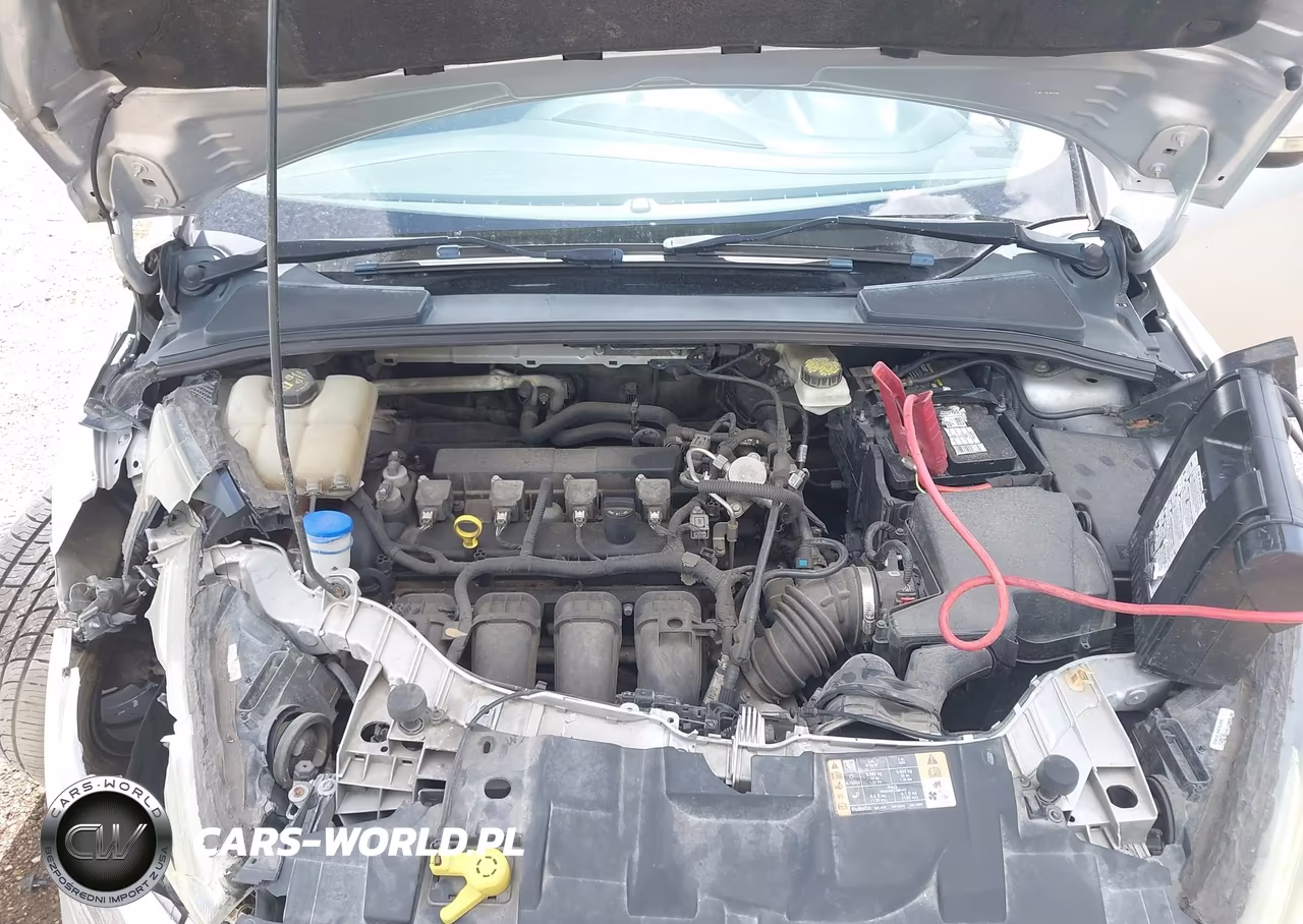 2017 Ford Focus Sel VIN:1FADP3H24HL214316 - 10