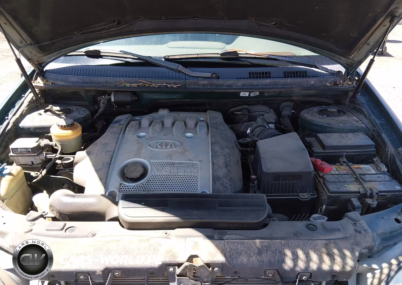 2005 Kia Sedona Ex-Lx VIN:KNDUP132X56621850 - 10