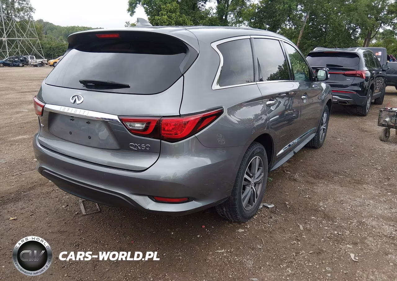 2020 Infiniti Qx60 Pure Awd VIN:5N1DL0MM0LC519411 - 4