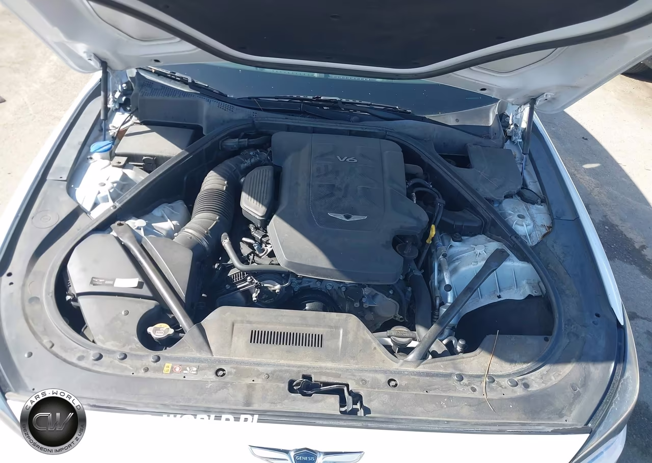 2019 Genesis G80 3.8 VIN:KMTFN4JE1KU323967 - 10