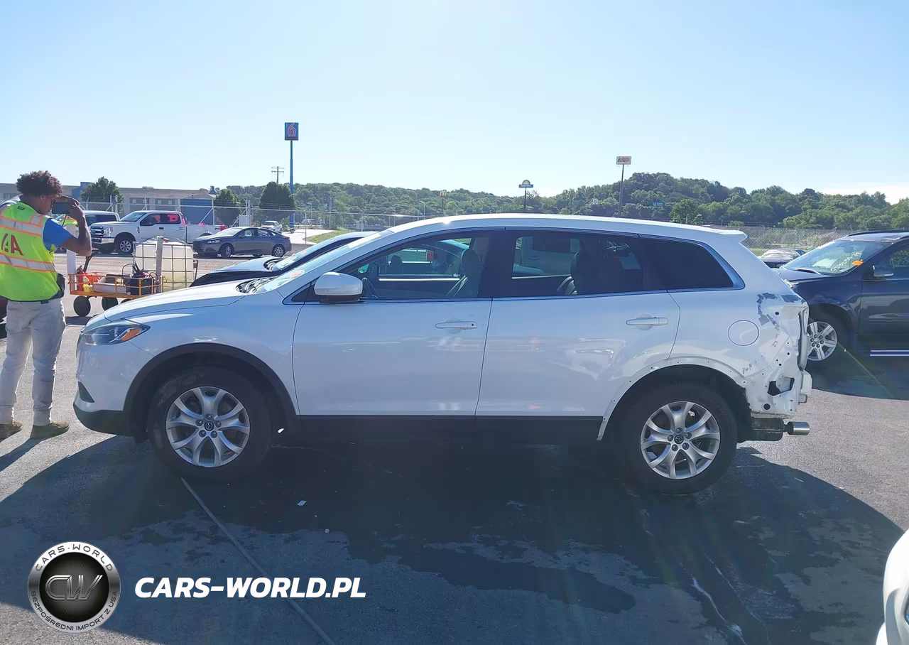 2013 Mazda Cx-9 Touring VIN:JM3TB3CAXD0423033 - 15