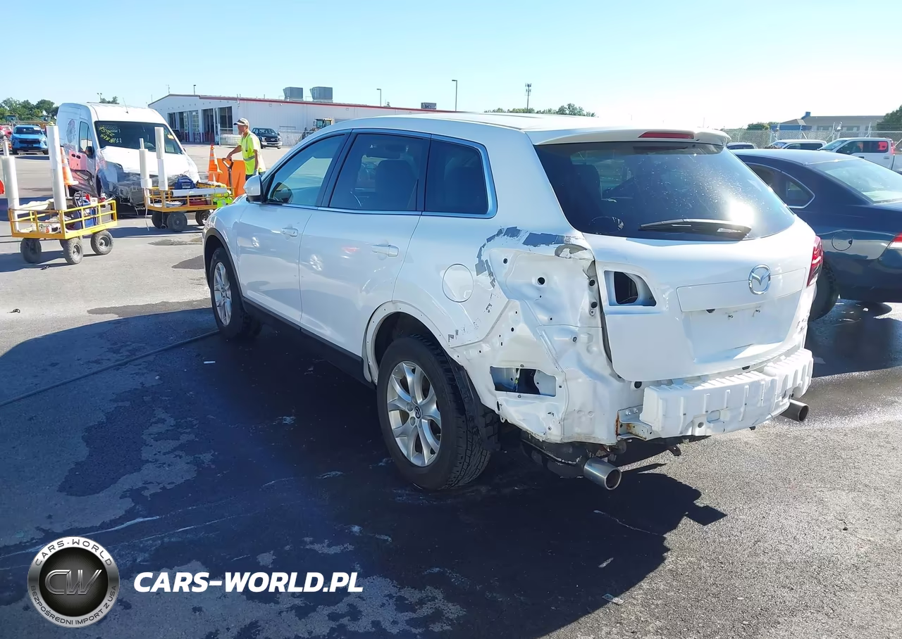 2013 Mazda Cx-9 Touring VIN:JM3TB3CAXD0423033 - 3