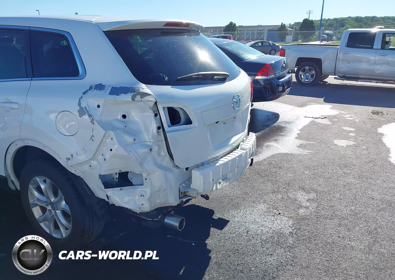 2013 Mazda Cx-9 Touring VIN:JM3TB3CAXD0423033 - 6