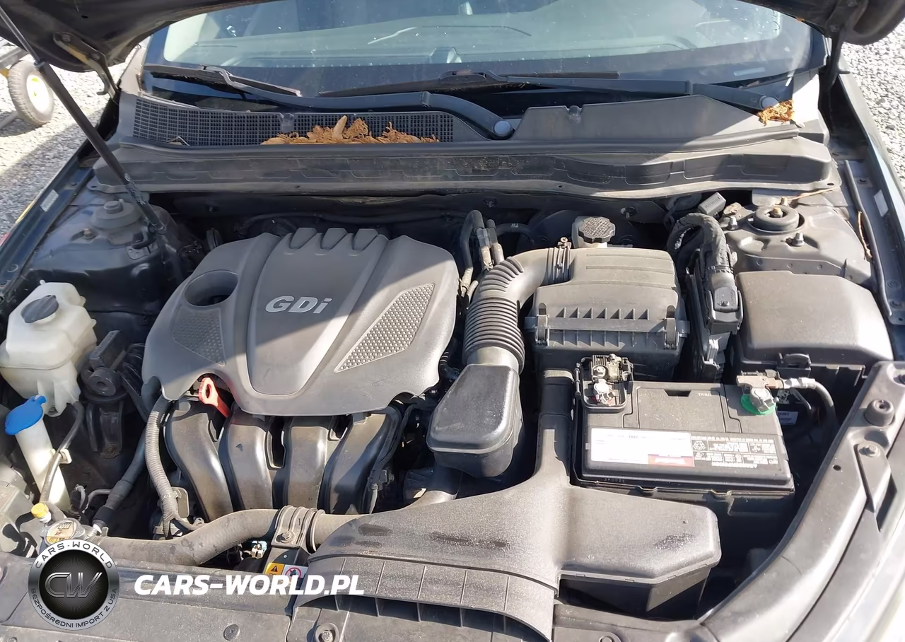 2013 Kia Optima Ex VIN:5XXGN4A73DG176483 - 10