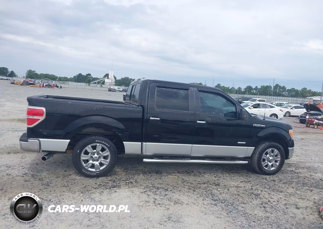2011 Ford F-150 Xlt VIN:1FTFW1CT1BFC03077 - 13