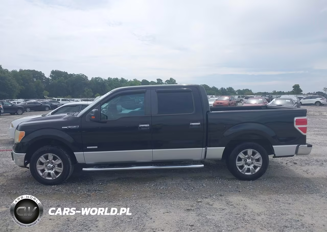 2011 Ford F-150 Xlt VIN:1FTFW1CT1BFC03077 - 14