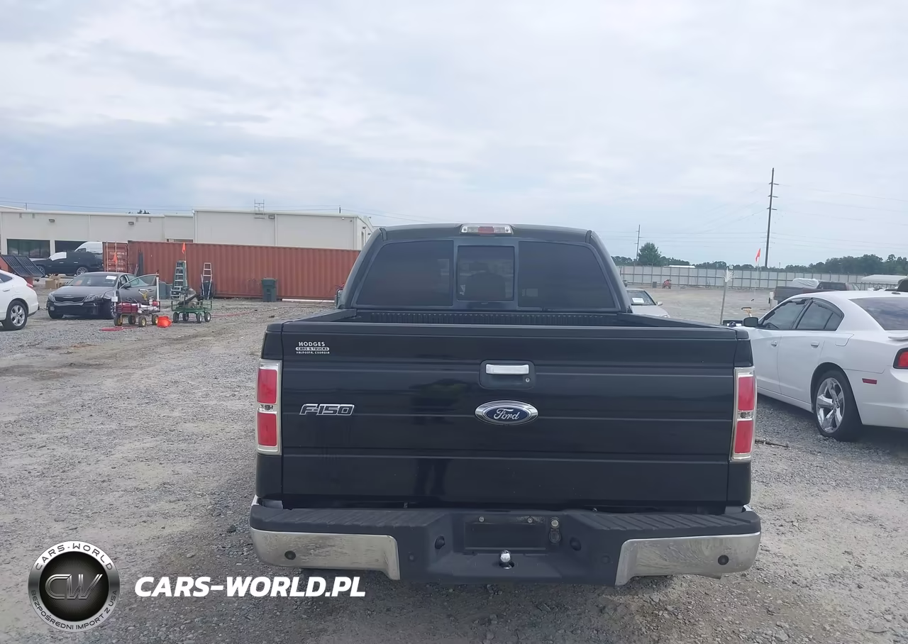 2011 Ford F-150 Xlt VIN:1FTFW1CT1BFC03077 - 16