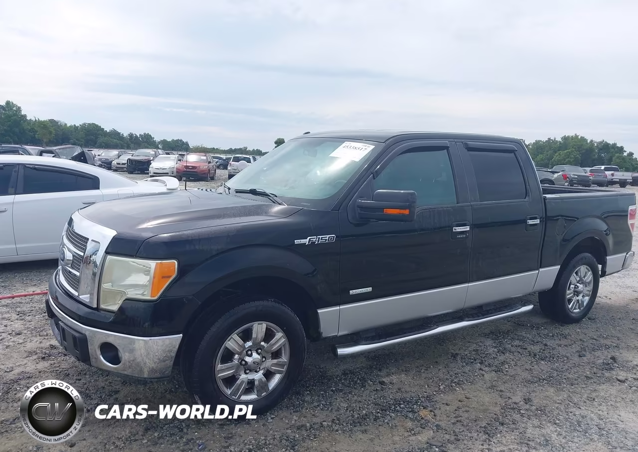 2011 Ford F-150 Xlt VIN:1FTFW1CT1BFC03077 - 2