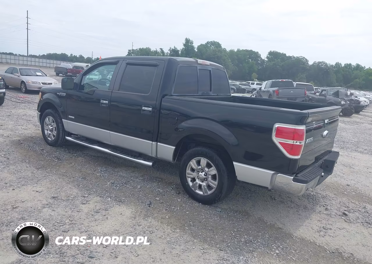 2011 Ford F-150 Xlt VIN:1FTFW1CT1BFC03077 - 3