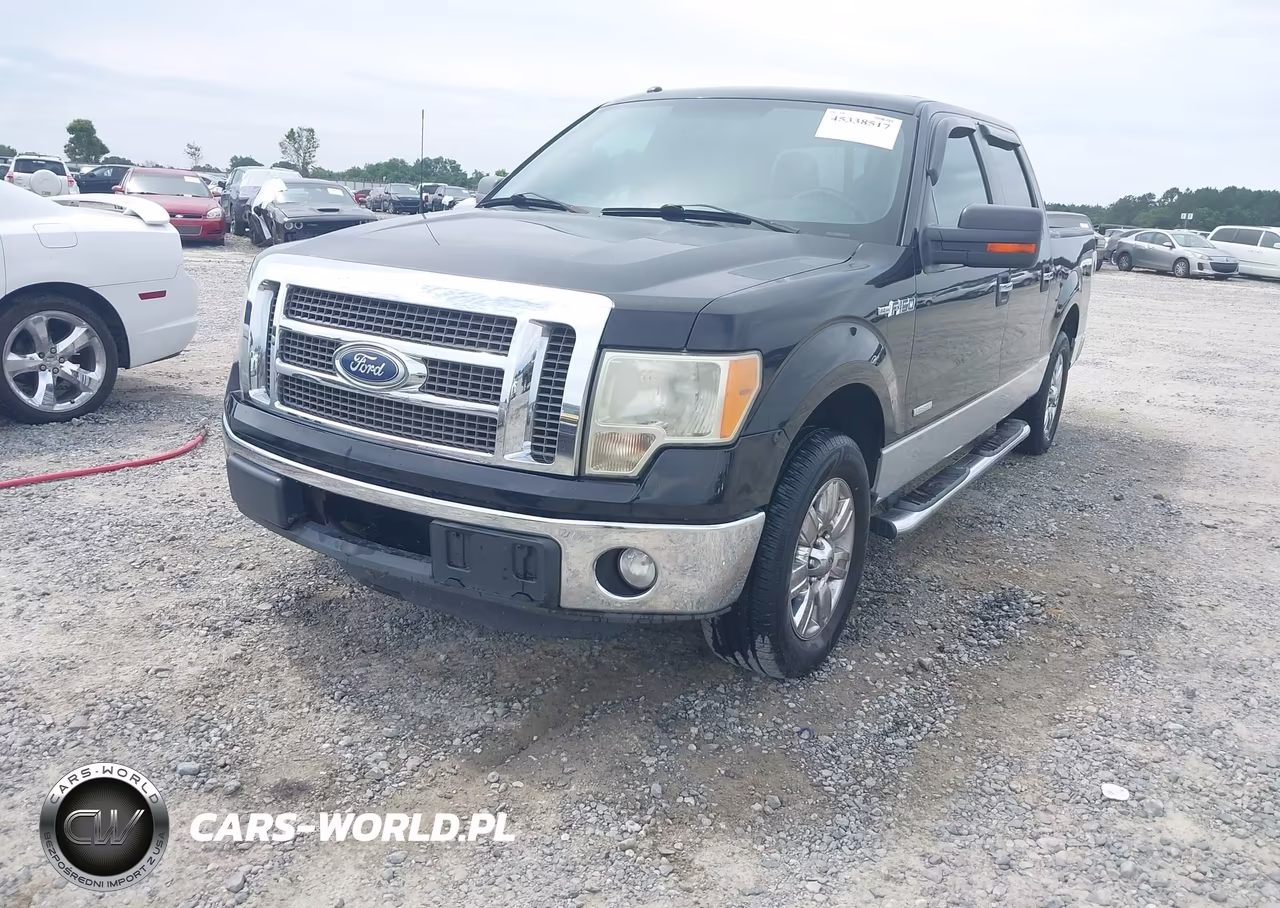 2011 Ford F-150 Xlt VIN:1FTFW1CT1BFC03077 - 6