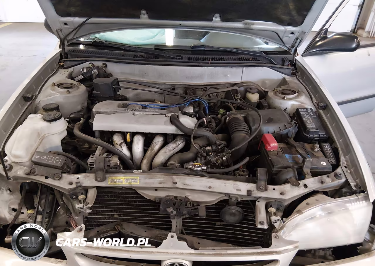 1999 Toyota Corolla Ce VIN:1NXBR12E2XZ147173 - 10
