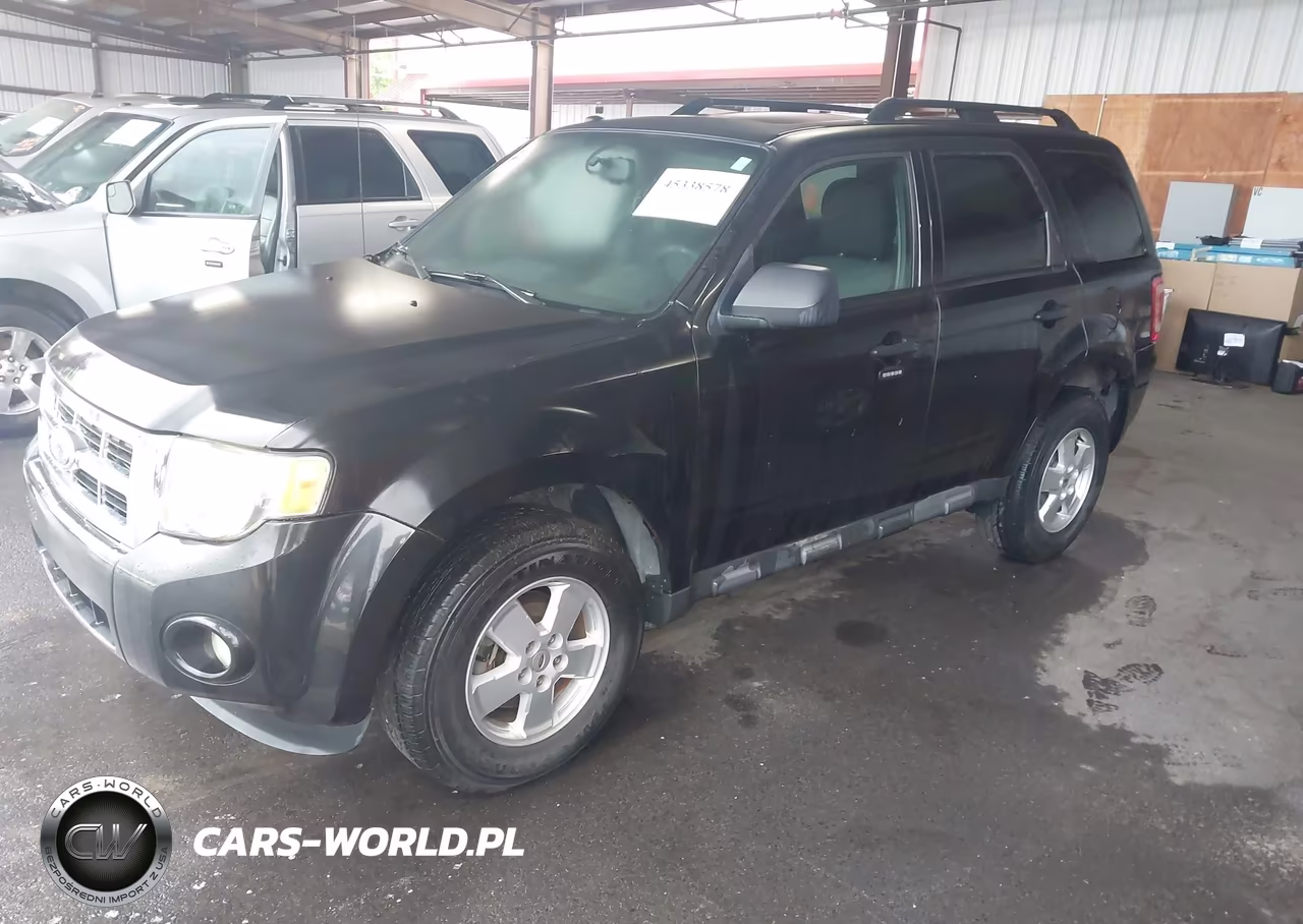 2011 Ford Escape Xlt VIN:1FMCU0DG4BKA32462 - 2